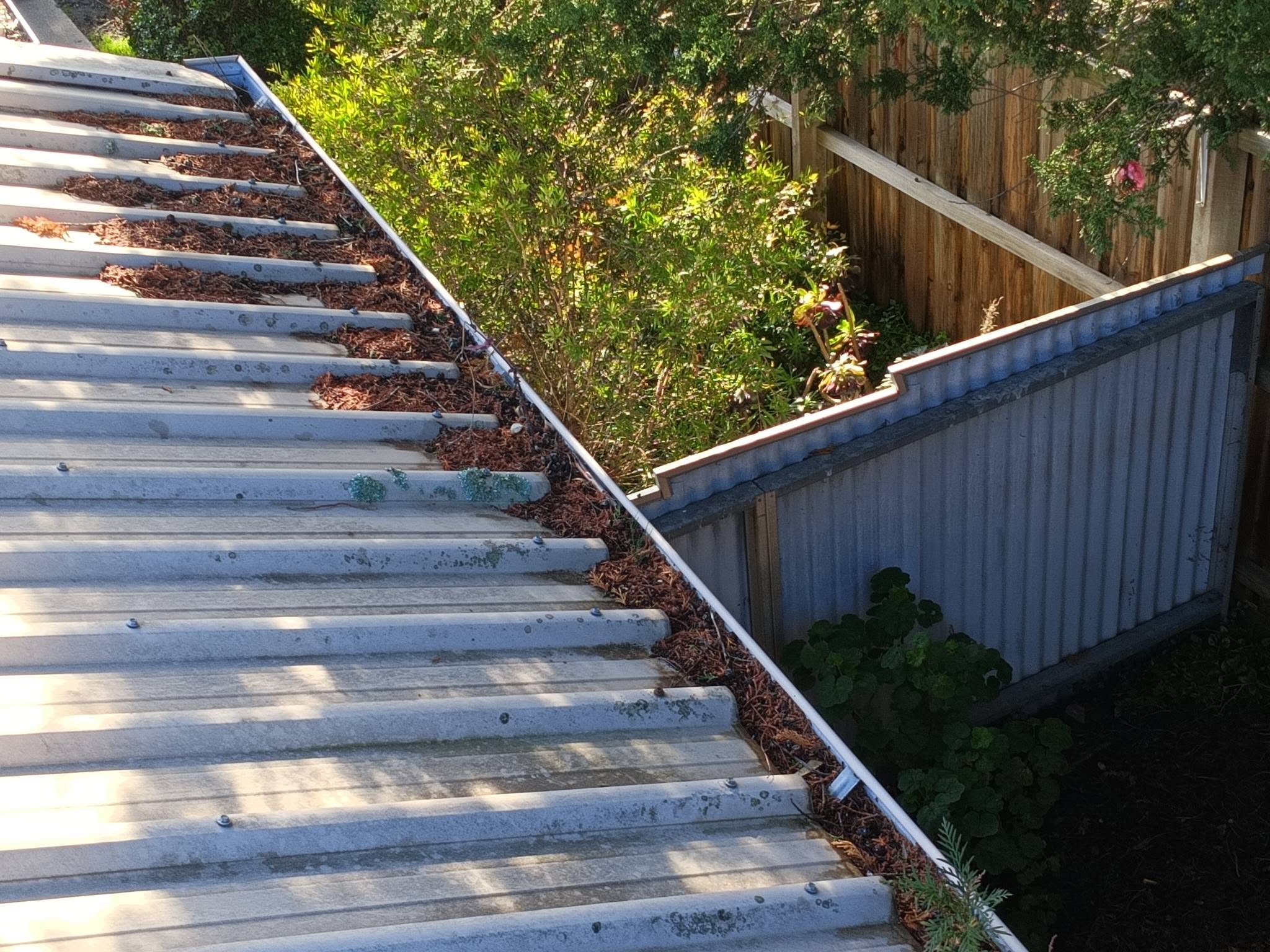 Gutters before clean in Castlemaine