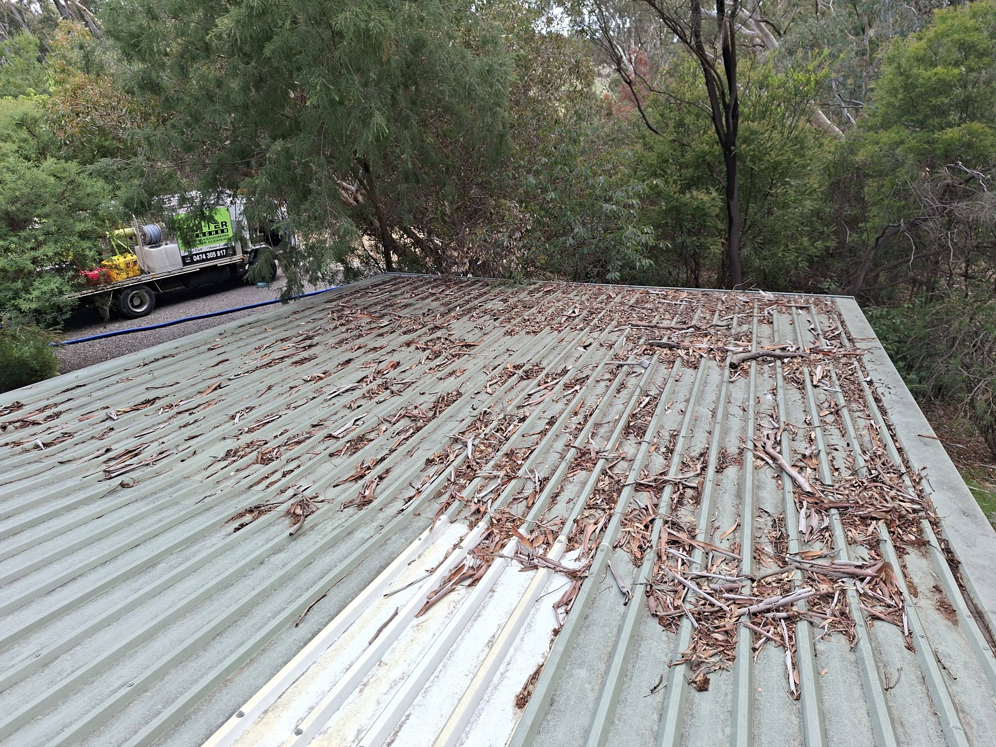 Roof and gutter clean in Castlemaine