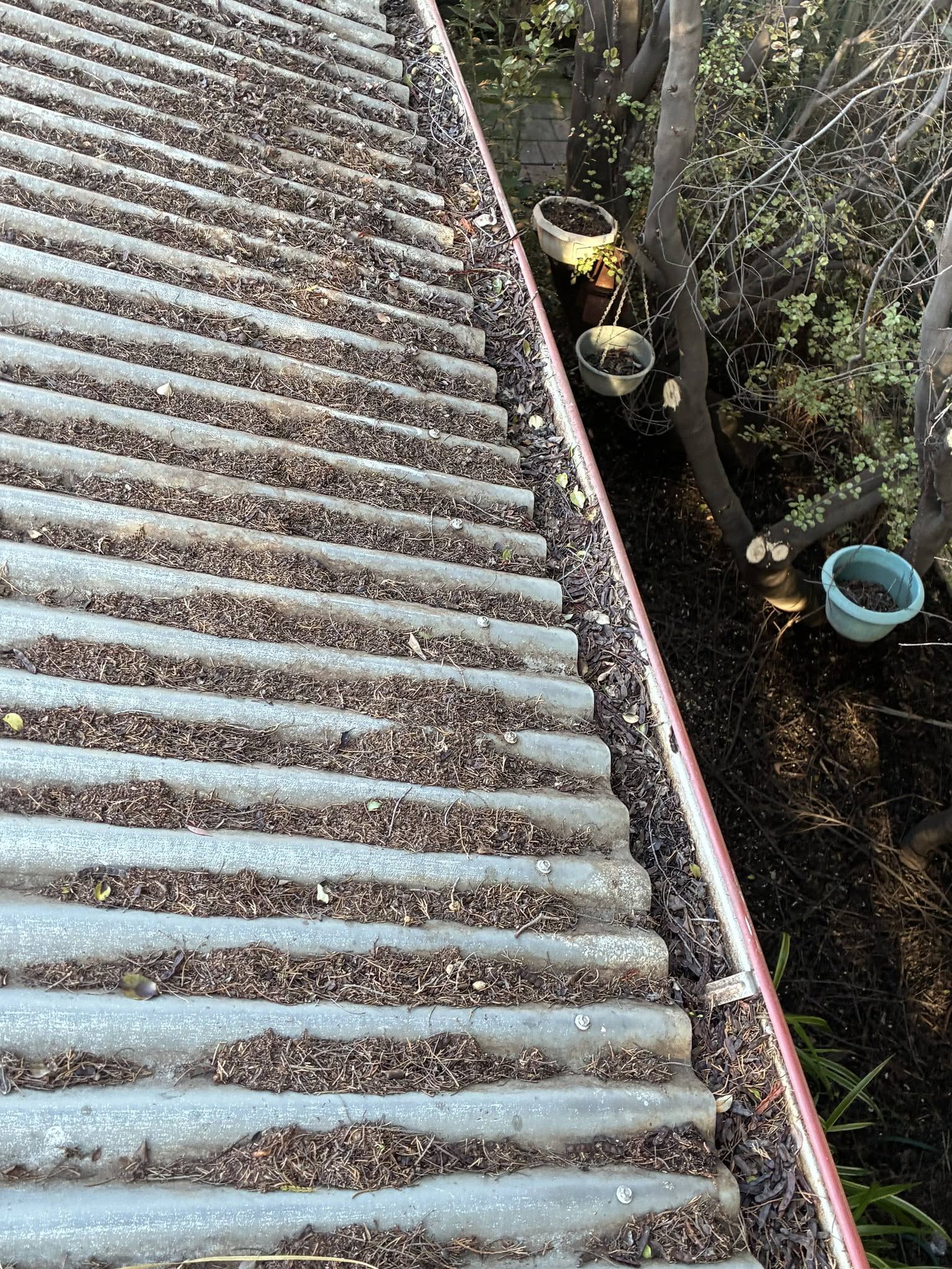 Gutter clean in Eaglehawk