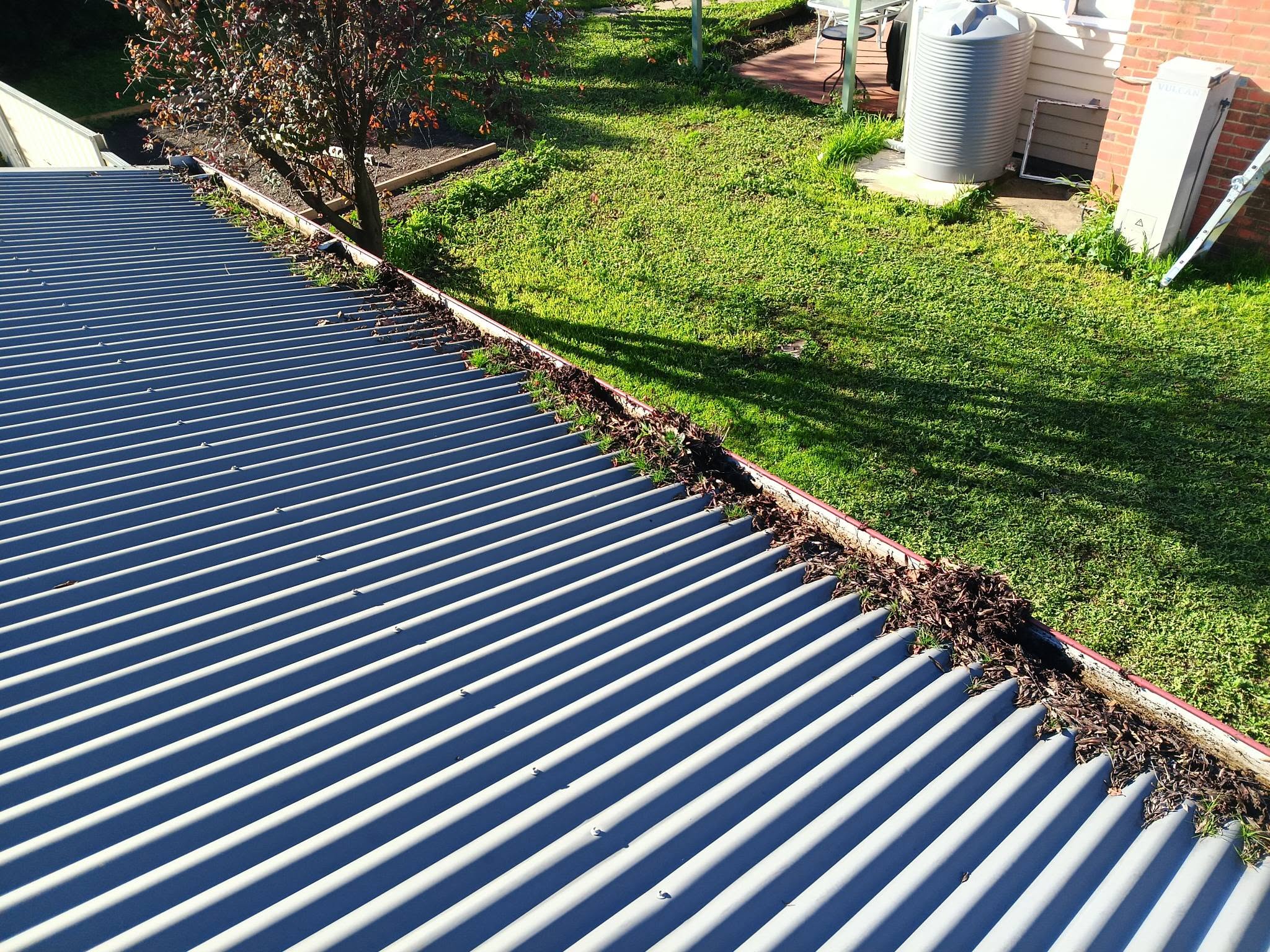 Before gutter clean in Maryborough
